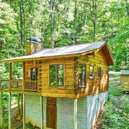 Open Studio Lodge At Little Rock Creek Cherry Log Exterior foto